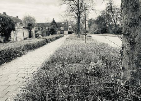 Voor een groener Hoorn en maak duurzaamheid voor iedereen mogelijk - Sociaal Hoorn/Team Tonnaer